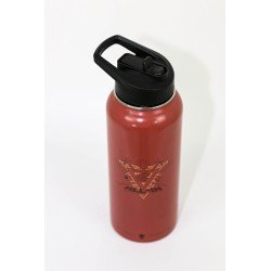 Stainless steel isothermal bottle 950mL VISION BROWN